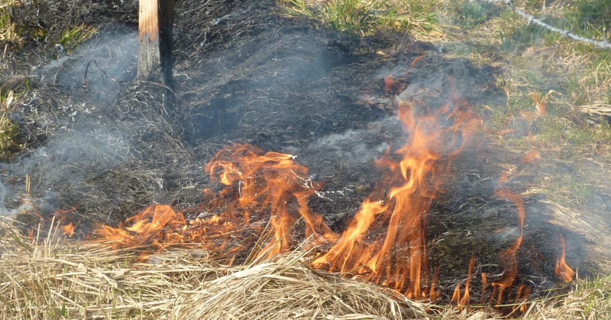 ENr-10 19.03.2015 15:03 Uhr – Landgraben neben der Autobahn >> Wiesen-/Schilfbrand