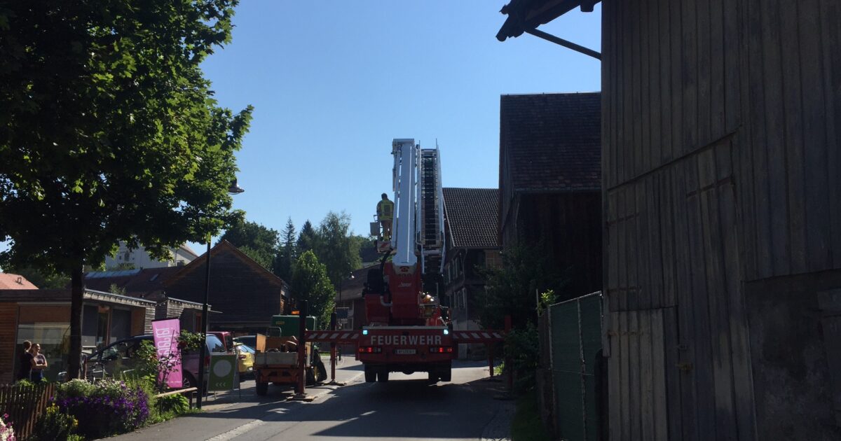 ENr-40 21.07.2017 09:30 Uhr – Kirchstraße >> Katze auf Dach