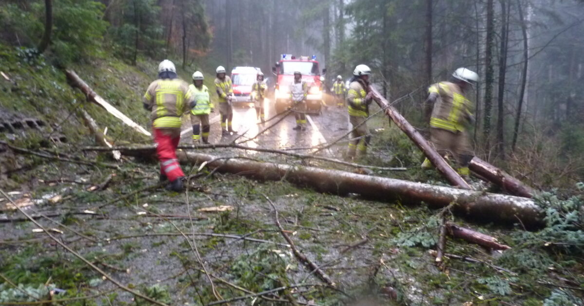 ENr-4 04.01.2018 14:45 Uhr – Bucherstraße >>Baum verlegt Straße