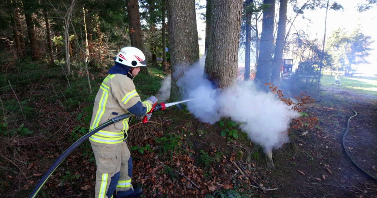 ENr-20 15.02.2020 12:29 Uhr – WOLFURT Bucherstraße>> Baum brennt