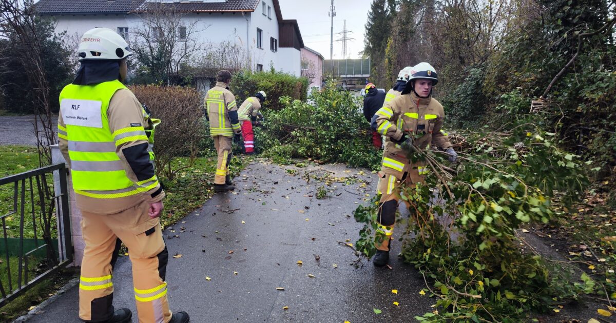 Einsatz Nr-65 25.11.2023 15:39 Uhr – Wuhrweg >> Baum verlegt Straße