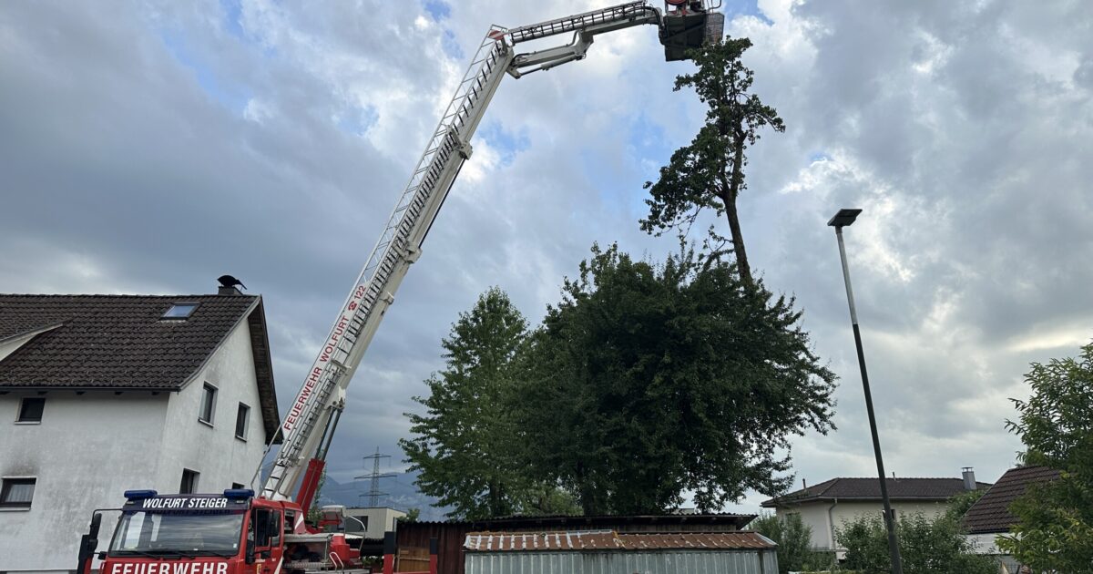 Einsatz-Nr. 041 & 042 | 23.06.2025 | Senderstraße und Schlattweg >> Sturmschaden
