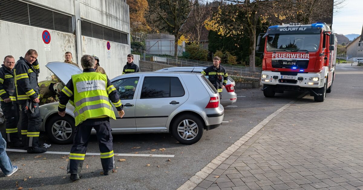 Einsatz-Nr. 112 | 12.11.2025 | 14:14 Uhr – Sternenplatz >> Tierrettung